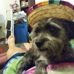 Meet your Posher, Janie